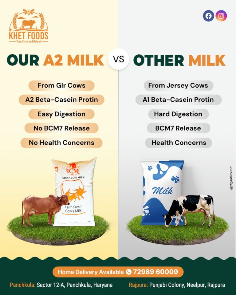 Cow Milk