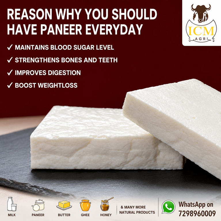 Fresh Paneer