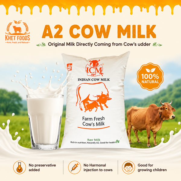 A2 pure Cow Milk